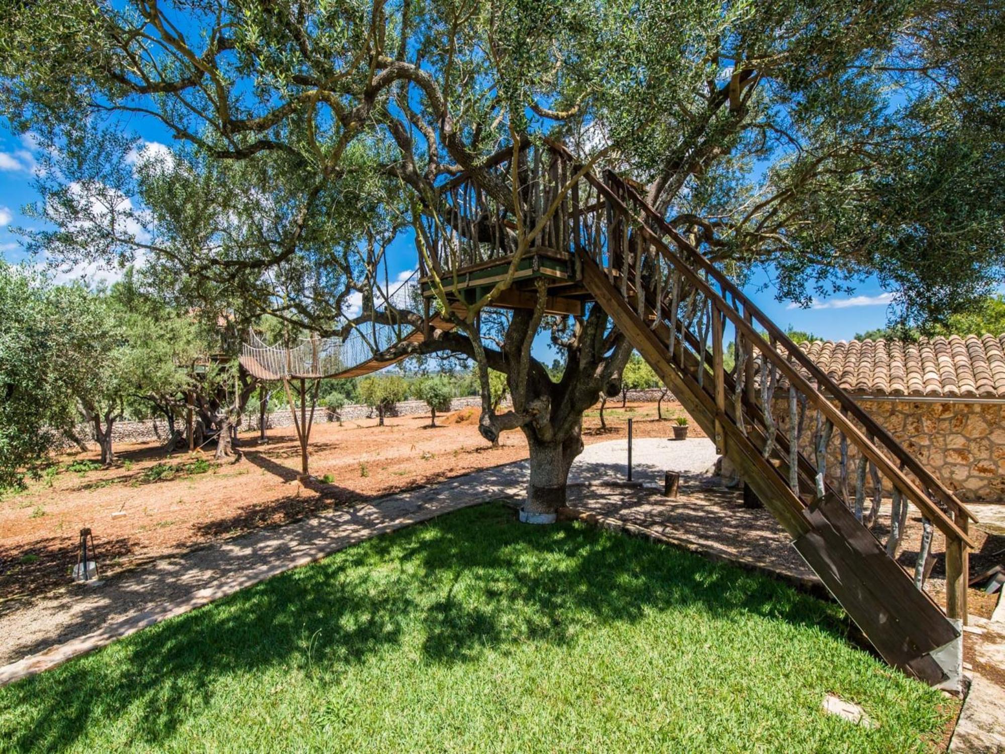 Ferienhaus Rural In Mallorca Ariany