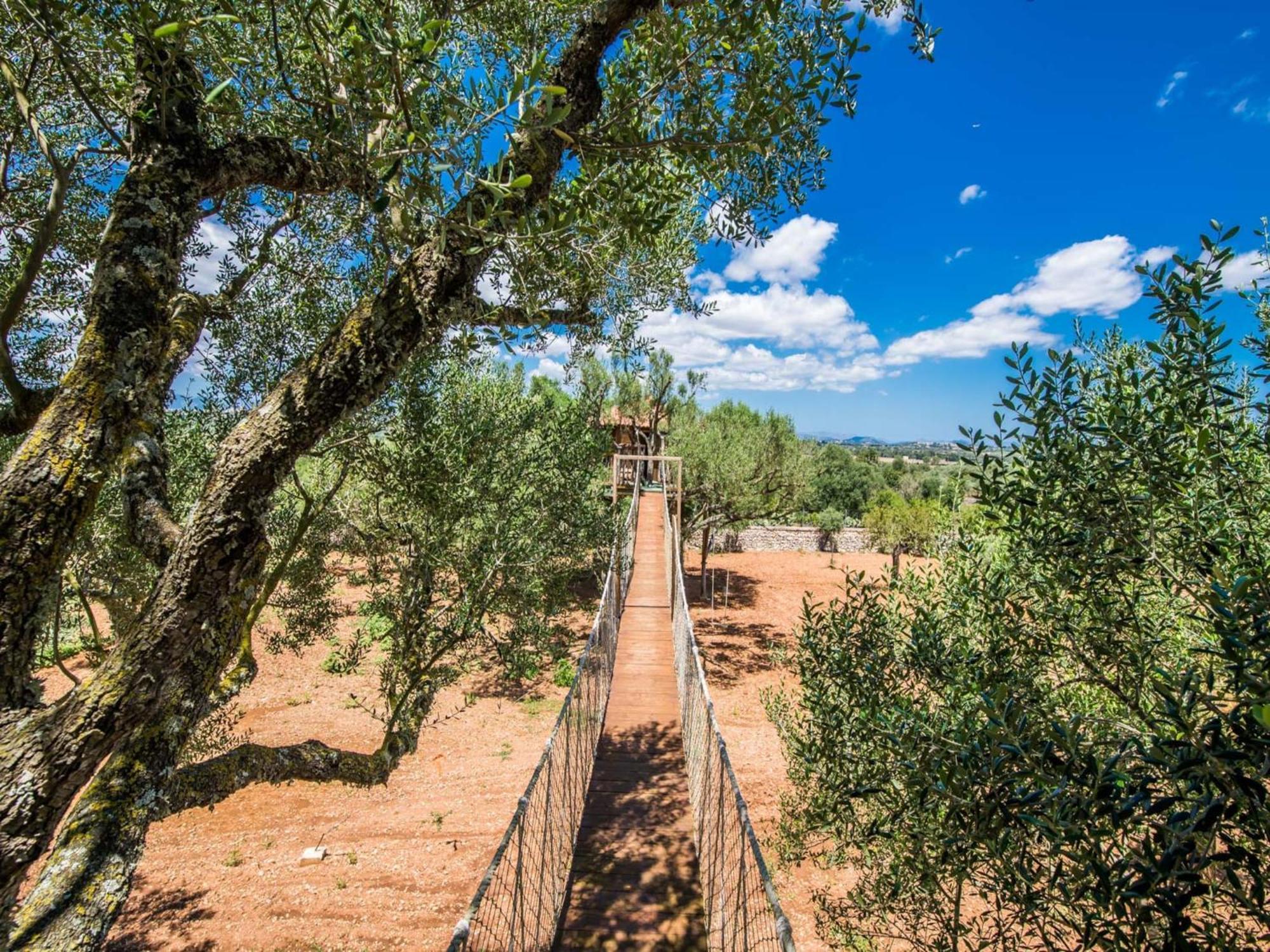 Rural In Mallorca *